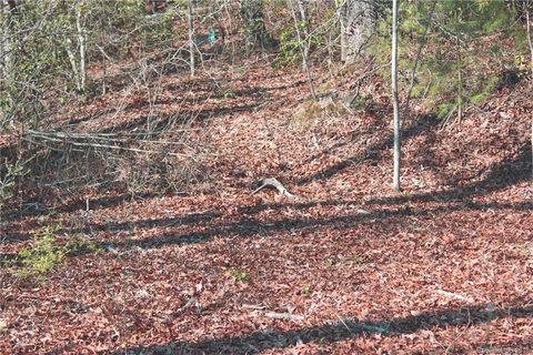 Lot 2 Gardner Lane Lot # 2 sold lot in Oak Woods, Pisgah Forest, NC