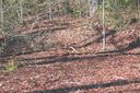 Lot 2 Gardner Lane Lot # 2 sold home in Pisgah Forest, SC