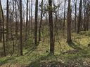 5513 Carving Tree Drive sold home in Harrisburg, SC