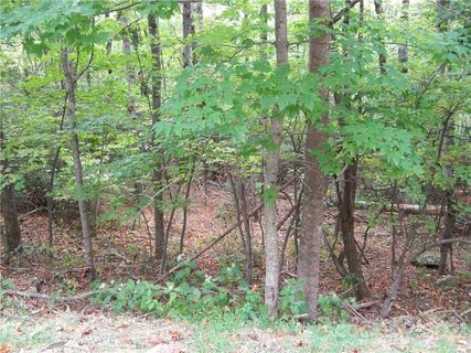 00 Arrowhead Trail 79 sold home in Camp Skyuka, Columbus, NC