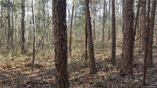 00 E Sandy Ridge Road