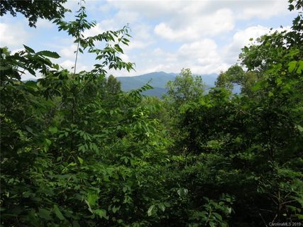 000 Wildflower Cove Road 20, 21