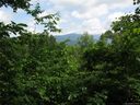 000 Wildflower Cove Road 20, 21 sold home in Swannanoa, SC