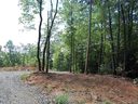 75 Dogwood Court sold home in Penrose, SC