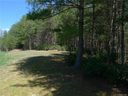 103 Big Tree Way 2 sold home in Nebo, SC