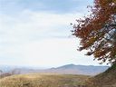 Tbd Big Spring Trail sold home in Burnsville, SC