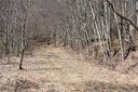 12 Sheepback Road sold home in Maggie Valley, SC