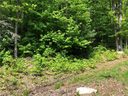 Lot 67 Marshall Ridge Road sold home in Hendersonville, SC