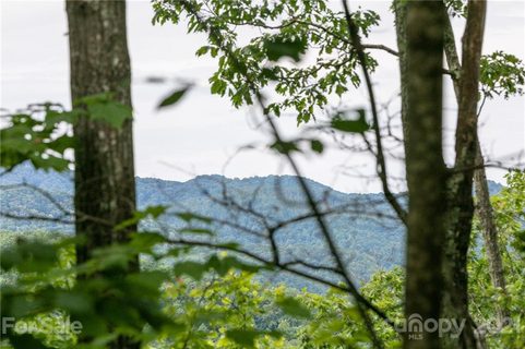Lot 25 Austin Mountain Road