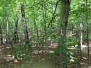 Xx Old Ridge Road sold home in Waxhaw, SC