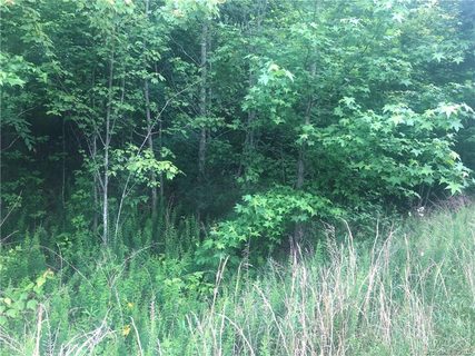 Lot 36 Back Acres Lane
