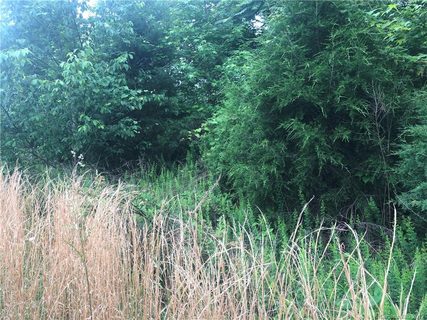 Lot 29 Back Acres Lane sold lot in Wright Acres, Kannapolis, NC
