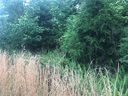 Lot 29 Back Acres Lane sold home in Kannapolis, SC