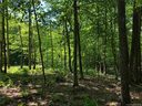 1230 Arborcrest Way Lot 47 sold home in Swannanoa, SC