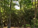 1111 Elm Tree Way Lot 48 sold home in Swannanoa, SC