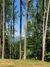 1411 Easy Wind Drive Lot 54 sold home in Swannanoa, SC