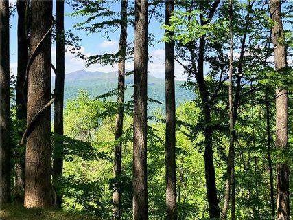 1319 Daydream Ridge Lot 53