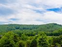 210 Bridgeman Way 15 sold home in Asheville, SC