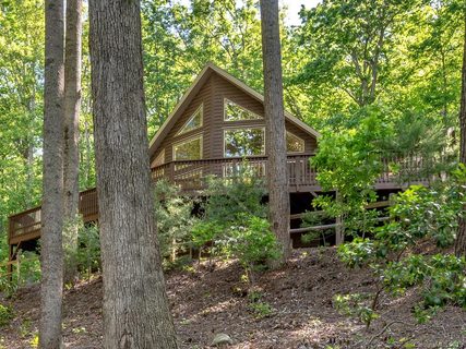 217 Blue Ridge Vista