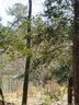 Lot 30 Fern Drive sold home in Mount Gilead, SC