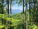 1332 Daydream Ridge Lot 67 sold home in Swannanoa, SC
