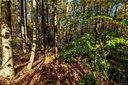Lot 8 Webbs Chapel Cove Court sold home in Denver, SC