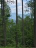 1412 Easy Wind Drive Lot 55 sold home in Swannanoa, SC