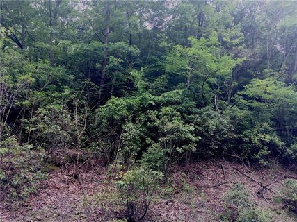 Lt 34 Indian Ridge Trail Lot 34 sold lot in Indian Ridge, Hendersonville, NC