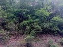 Lt 34 Indian Ridge Trail Lot 34 sold home in Hendersonville, SC