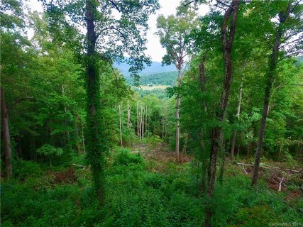 99999 Pheasant Ridge Drive 16 sold lot in Pheasant Ridge, Fairview, NC