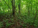 00 Ruffed Grouse Lane 12 sold home in Waynesville, SC