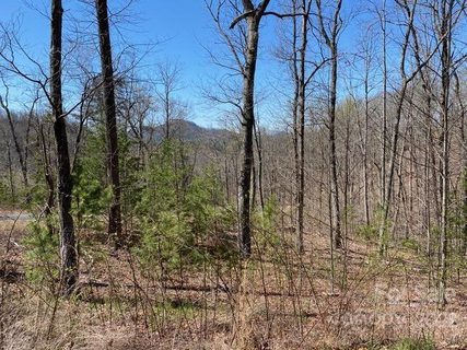 Lot 302 Mountain Brook Trail