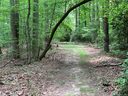 2e Reserve Road sold home in Pisgah Forest, SC