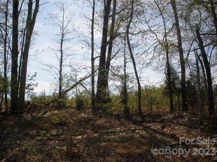 1316 Timber Springs Lane sold lot in COUNTRY MANOR ESTATES, Salisbury, NC