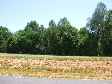 141 Brookleaf Lane sold lot in BROOKLEAF, Mooresville, NC