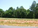 141 Brookleaf Lane sold home in Mooresville, SC