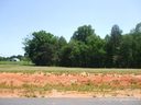 115 Brookleaf Lane sold home in Mooresville, SC