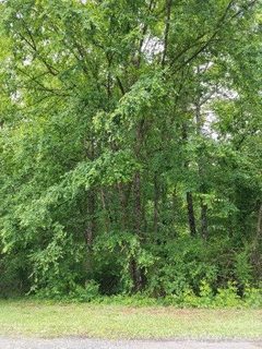 0 Creekwood Drive sold lot in SPRING VALLEY, Salisbury, NC