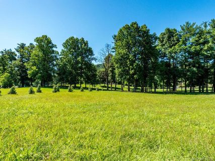 0 Berwick Downs Drive 15 sold lot in Berwick Downs, Flat Rock, NC