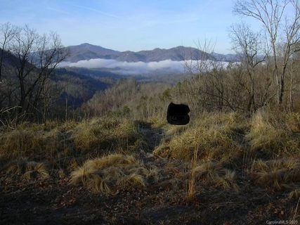 Lot 10 Ridge Place sold land listing in Fontana View Lake, Bryson City, NC