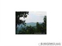 53 Hurricane Ridge Trace sold home in Clyde, SC