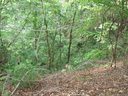 Lot 49 Crookston Drive sold home in Waynesville, SC