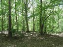 29 General Griffith Circle sold home in Rutherfordton, SC