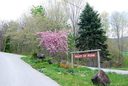 0 Mule Trail Drive sold home in Bakersville, SC