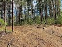 46 Osprey Roost Drive sold home in Nebo, SC