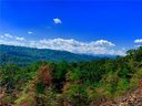 Lot W9 Curtain Bluff None sold home in Hendersonville, SC