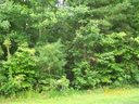1223 Forest Ridge Road sold home in Bessemer City, SC