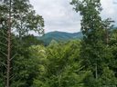 99999 Stonecrest Mountain Drive 10 sold home in Black Mountain, SC