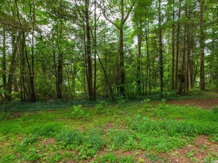 0 Drayton Circle 22 sold lot in Bonclarken, Flat Rock, NC