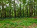 0 Drayton Circle 22 sold home in Flat Rock, SC